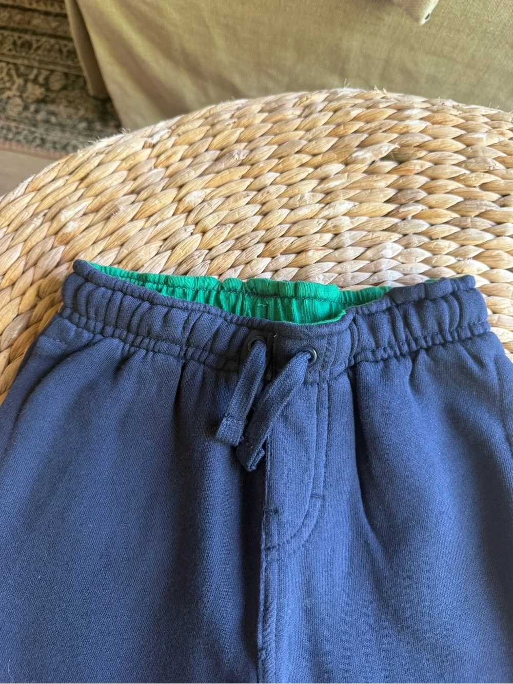 Gymboree Dragon Fleece Pants
